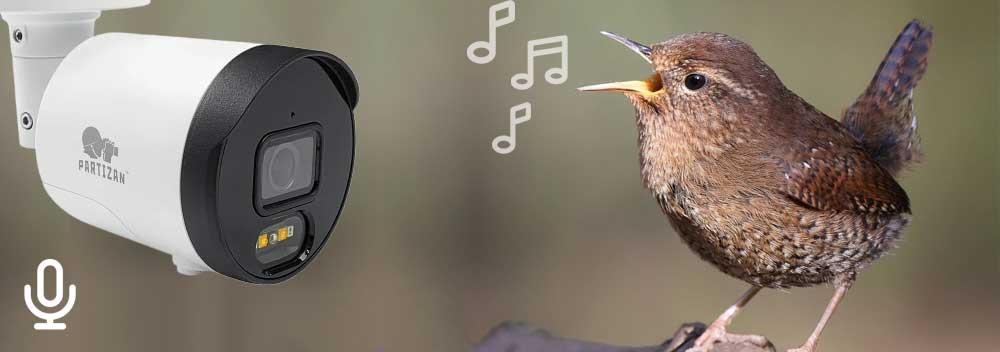 камери зі звуком