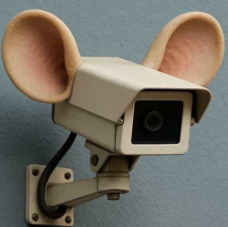 Камери зі звуком