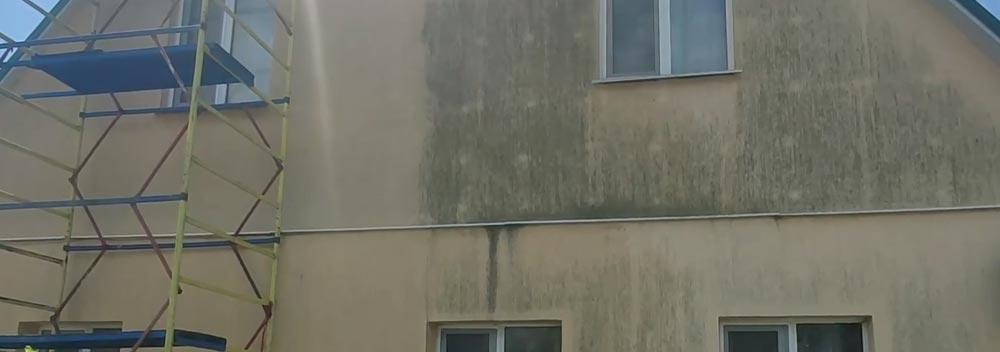 Як очистити стіну від цвілі